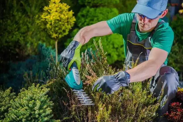 landscaping services Noel